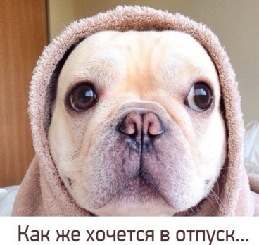 <p>Хватит мечтать, пора отдыхать!🌊☀️🌴<p>