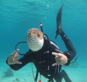Вперед за новыми впечатлениями!
Дайвинг в Доминикане🐠🐟🐬