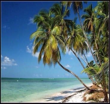 Зимой и летом одним цветом😄🌴