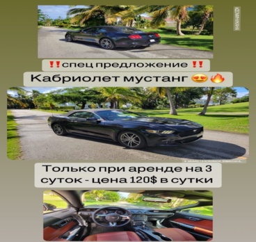 <p>#доминикана #мустанг #кабриолетмустанг #пунтакана аренда авто в Доминикане пунта кане<p>