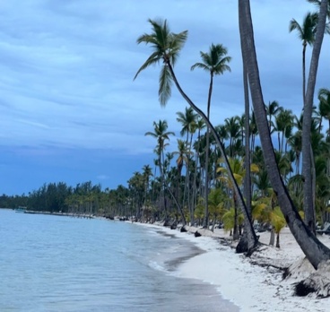 <p>Пляж отеля #Barcelo #Bavaro #Grand #Resort<p>