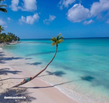 <p>Главный природный антидепрессант это Карибское море 🌊🏝🍍<p>
