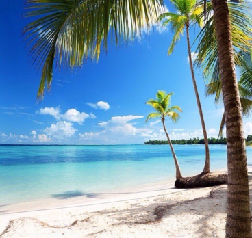 <p>Чем больше внутри нас солнца, тем ярче жизнь вокруг☀️🌴<p>