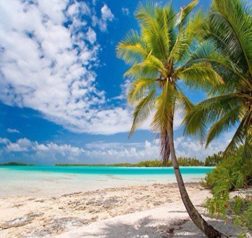<p>Поистине райское наслаждение может быть только здесь 😍
Экскурсия на остров Саона всего за 65$ с человека 👌<p>