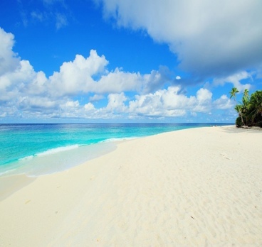 <p>Прекрасные пляжи Доминиканы...🌴☀️
Порой кажется, что они принадлежат только Вам!<p>