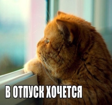 <p>Бросайте всё и прилетайте греться!🌴☀️<p>