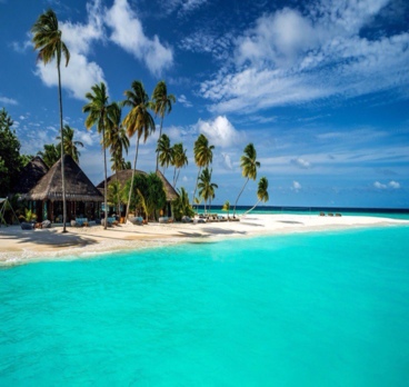 <p>Пусть каждое ваше утро будет всегда наполнено яркими красками ☀️🌴<p>