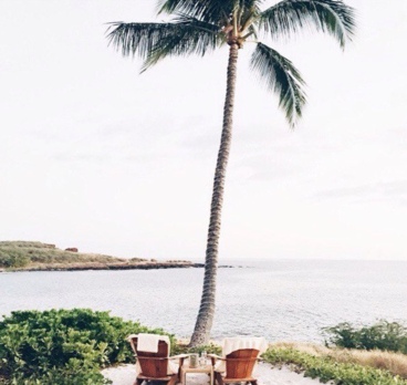 <p>Отдых, я тебя хочу!☀️🌴<p>