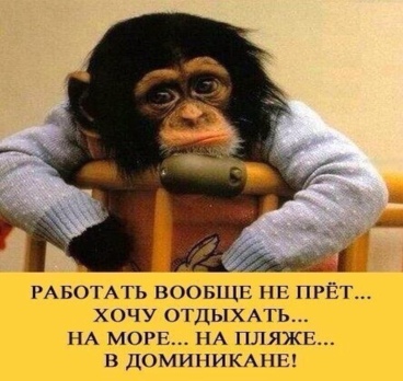 <p>О, дааааа ⚡️🐒😉<p>
