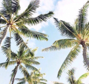 <p>Отдых, я тебя хочу!☀️🌴<p>