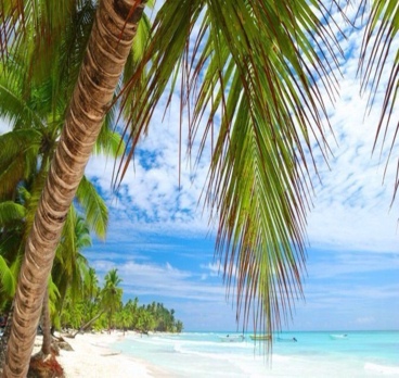 <p>Хотите сделать Ваш отдых незабываемым?! 
Мы Вам поможем 😊🐚🌴☀️🏄🏼<p>