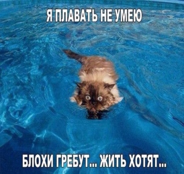 <p>Раскрыт секрет😉<p>