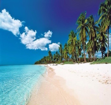 <p>Рай на земле существует...и он в Доминикане🌴☀️<p>