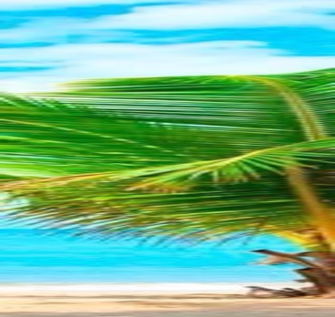 <p>Мне необходимо...🌴ВЕЧНОЕ ЛЕТО🌴👙<p>