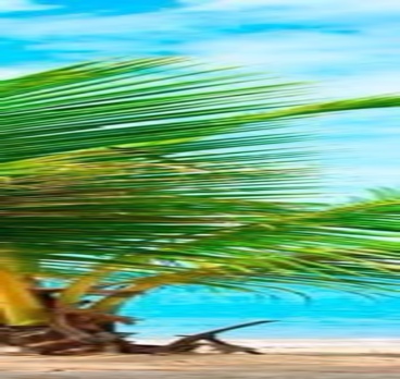 <p>Мне необходимо...🌴ВЕЧНОЕ ЛЕТО🌴👙<p>