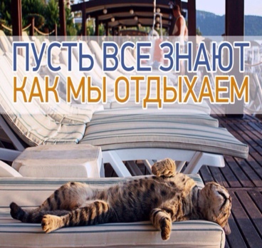 <p>Тот случай, когда я просто завидую кошке😜<p>