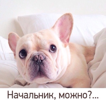 <p>Хватит мечтать, пора отдыхать!🌊☀️🌴<p>