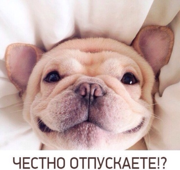 <p>Хватит мечтать, пора отдыхать!🌊☀️🌴<p>