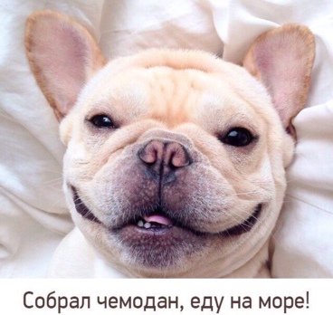 <p>Хватит мечтать, пора отдыхать!🌊☀️🌴<p>