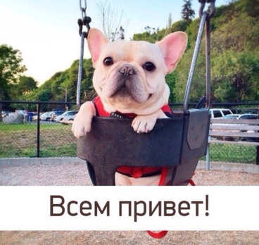 <p>Хватит мечтать, пора отдыхать!🌊☀️🌴<p>