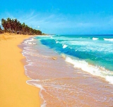 Один из самых красивых и нетронутых пляжей Macao Beach (пляж Макао).
Пляж расположен вдоль восточного побережья Доминиканской Республики.
Он идеально подходит для тех, кто любит уединение и не любит большое количество туристов и оживленных мест.