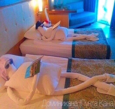 Всем сладких снов!😉