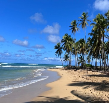 <p>Puri Beach #Republica #Dominicana<p>