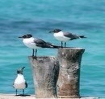 Когда нет моря снаружи, всегда есть море внутри...воспоминания греют душу🌊