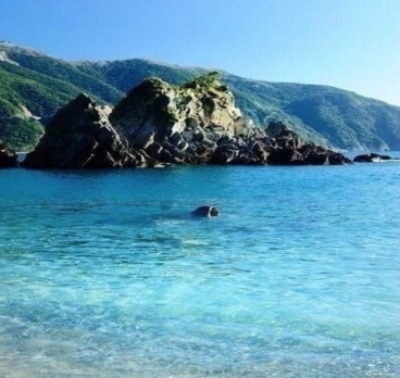 Райское ничегонеделание;)))👙🌞🌈🐚