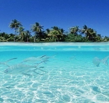 Райское ничегонеделание;)))👙🌞🌈🐚