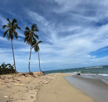 <p>Playa Nisibon<p>