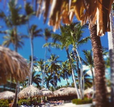 Хочется уже лето!!! Солнце☀️Жара🌞Море🌊Пляж🌴Всё такое яркое. Насыщенное. Совсем другое настроение. Гулять на улице ночью. Наслаждаться отдыхом. Веселится, жить в своё удовольствие.
Все это - Доминикана...
