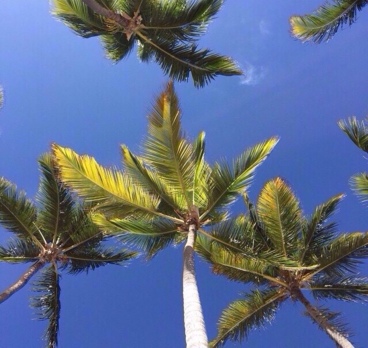 Хочется уже лето!!! Солнце☀️Жара🌞Море🌊Пляж🌴Всё такое яркое. Насыщенное. Совсем другое настроение. Гулять на улице ночью. Наслаждаться отдыхом. Веселится, жить в своё удовольствие.
Все это - Доминикана...