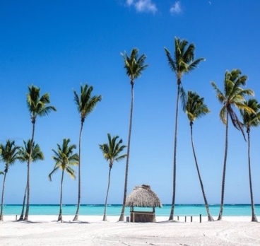 Моя жизнь стала яркой, когда я встретила тебя, Доминикана!🌴😍