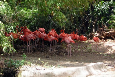 MANATI PARK