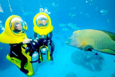 Scuba Doo