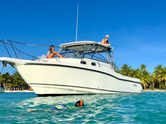 BOSTON WHALER 32