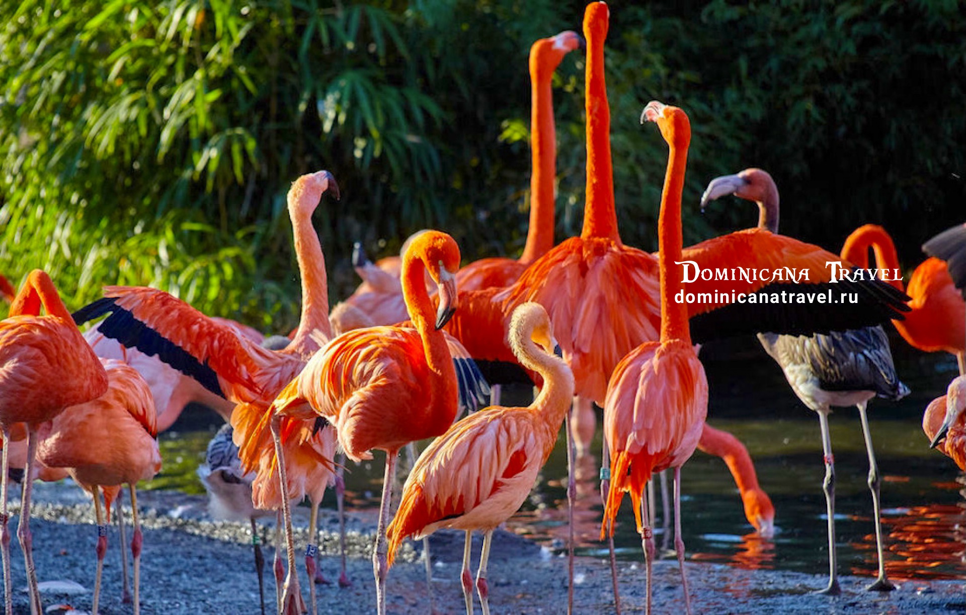 MANATI PARK – фото 1