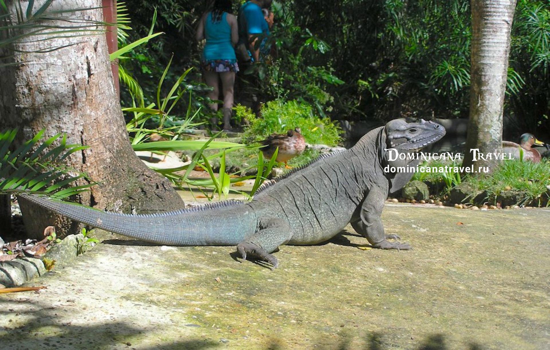 MANATI PARK – фото 1