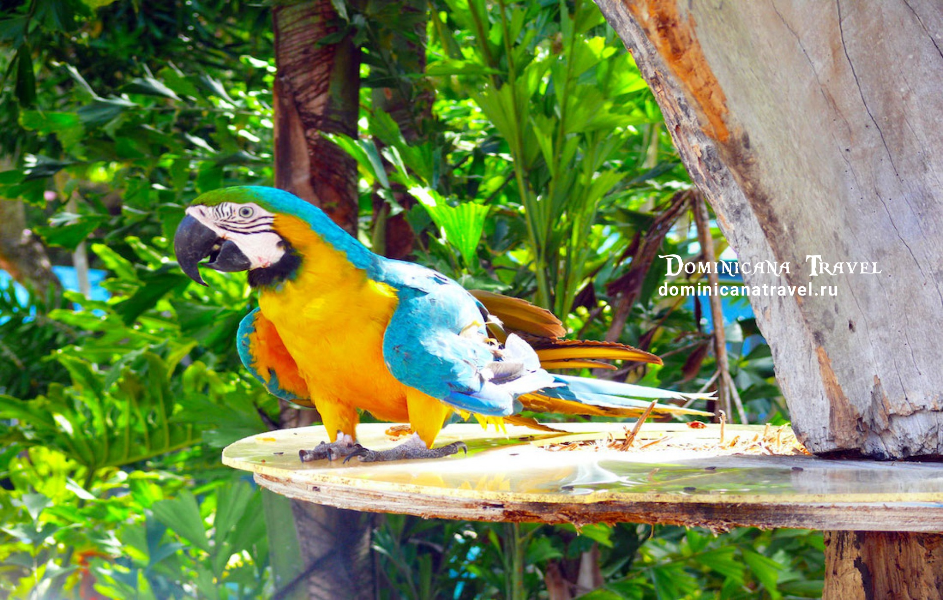 MANATI PARK – фото 1
