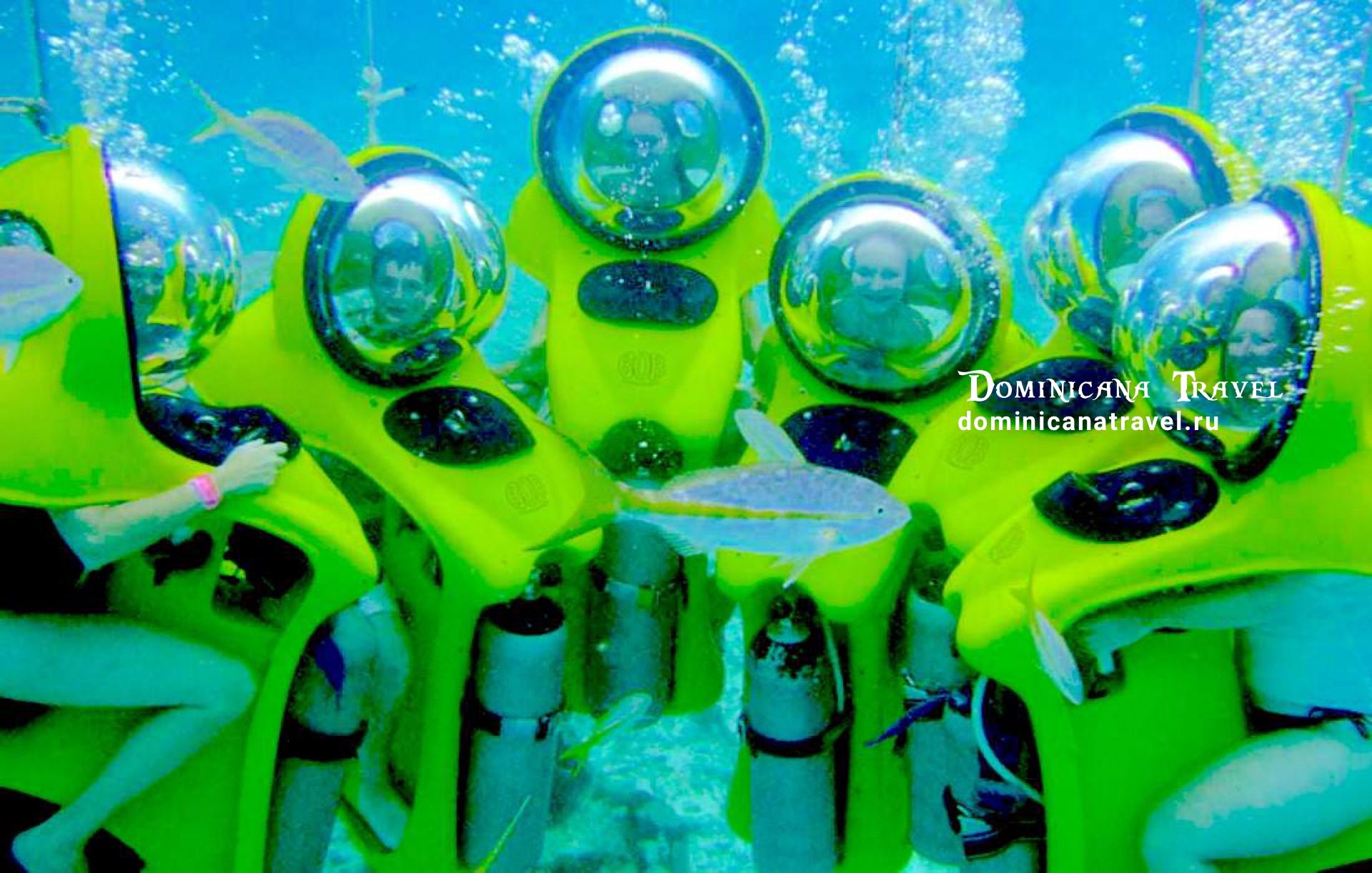 Scuba Doo – фото 1