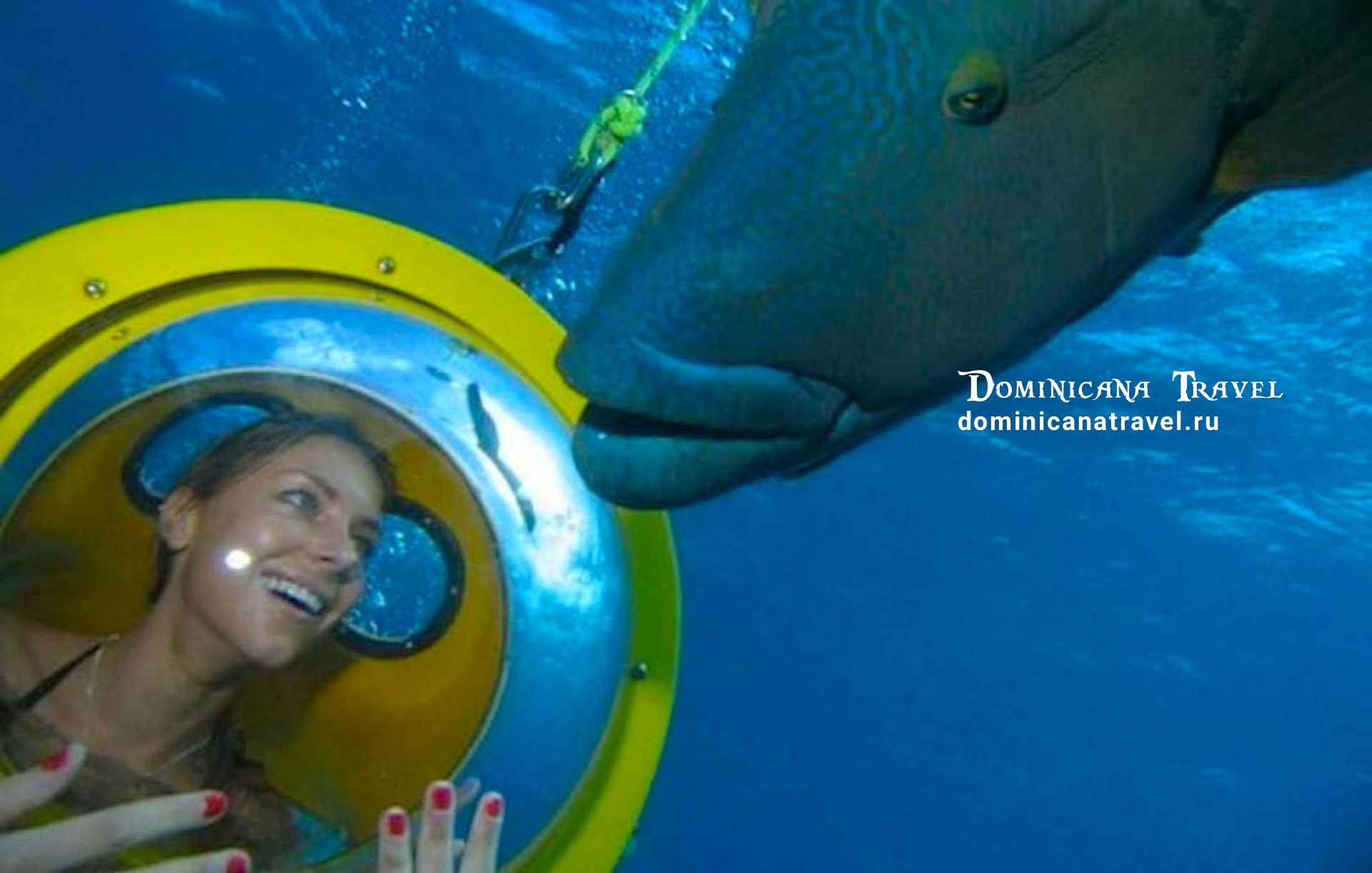 Scuba Doo – фото 1