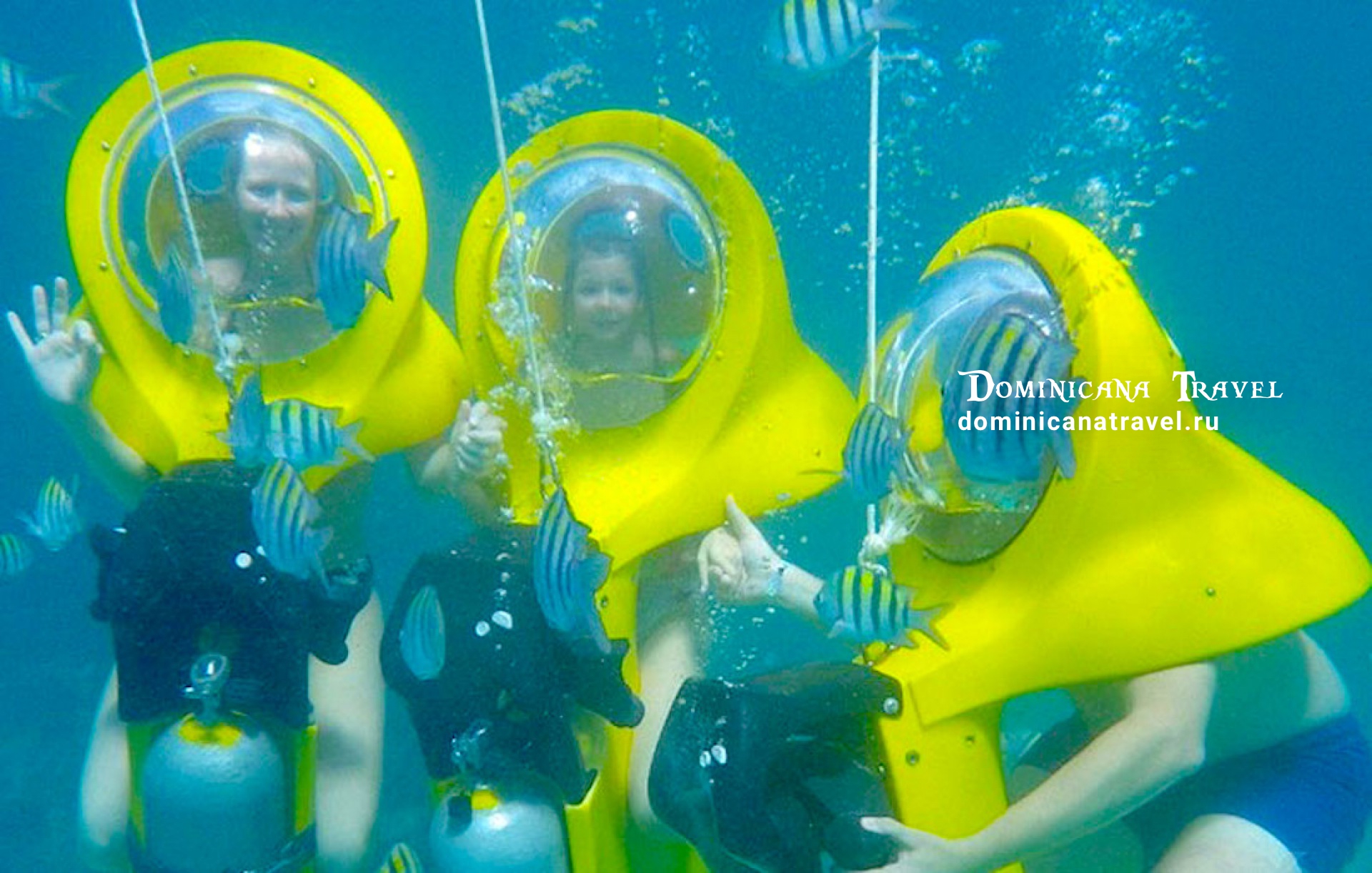 Scuba Doo – фото 1