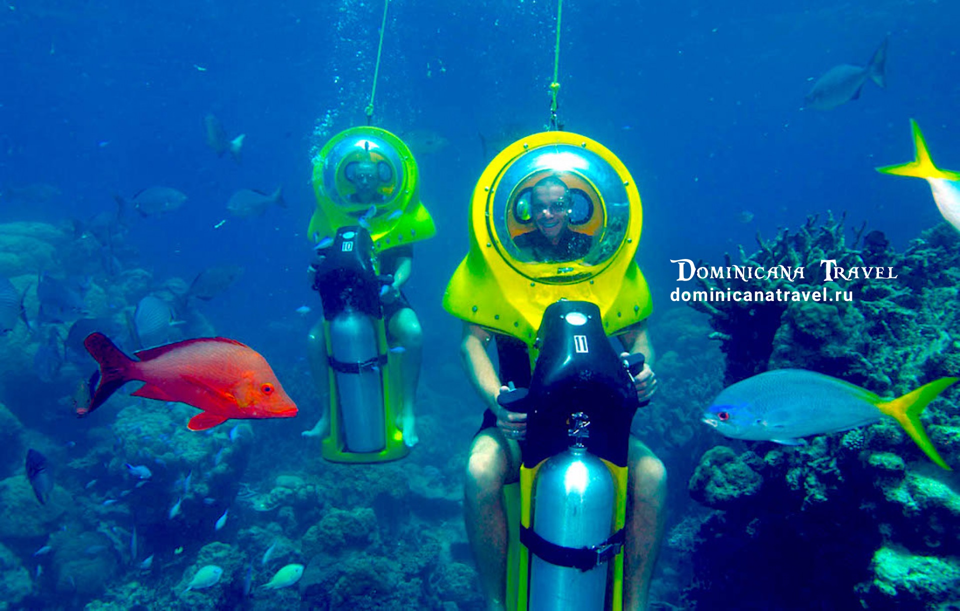 Scuba Doo – фото 1