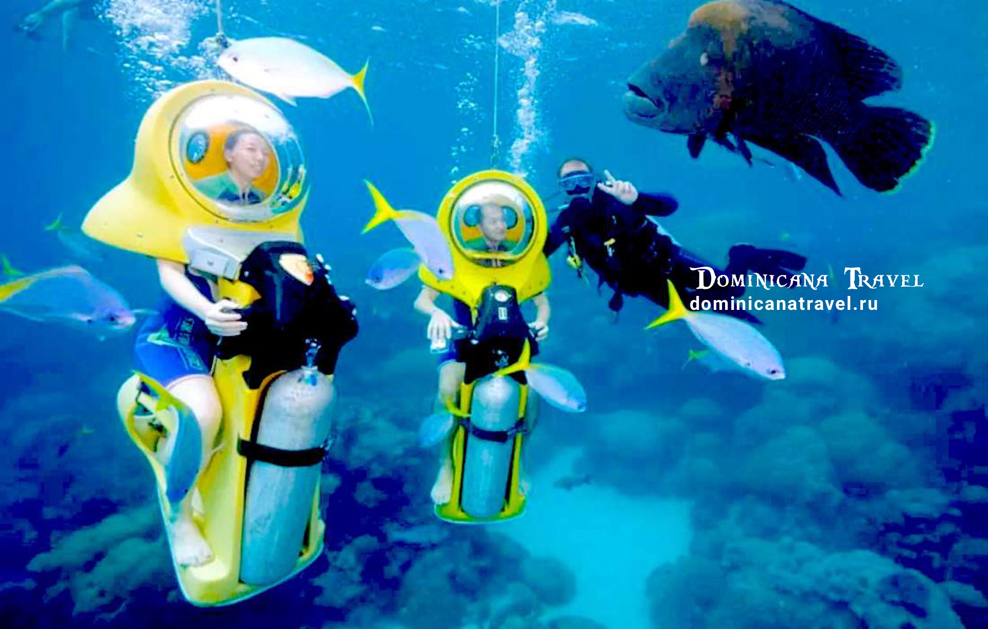 Scuba Doo – фото 1